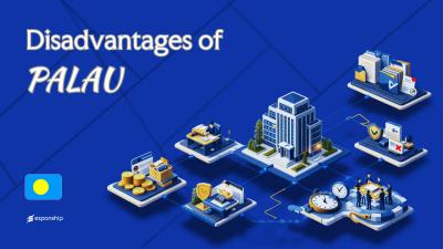 Disadvantages of Incorporating in Palau | Key Drawbacks