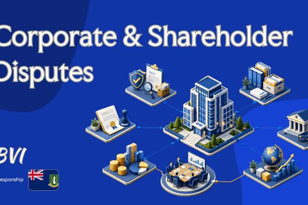 Corporate & Shareholder Disputes: BVI Legal Routes