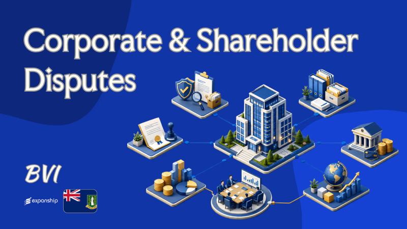 Corporate & Shareholder Disputes: BVI Legal Routes