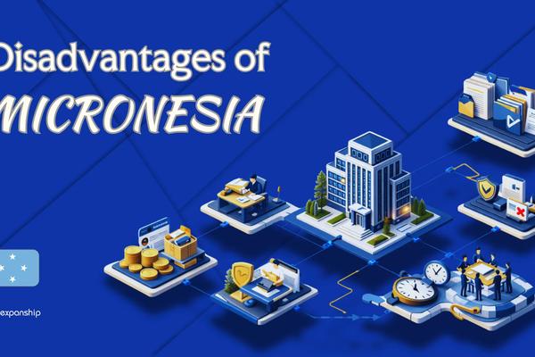 Disadvantages of Incorporating in Micronesia Explained