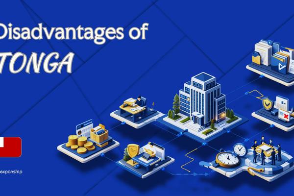 Cons of Incorporating in Tonga | What Investors Should Know