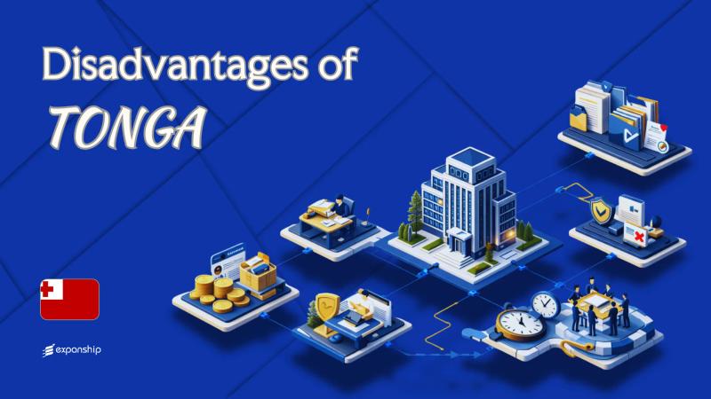 Cons of Incorporating in Tonga | What Investors Should Know