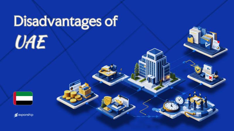 Disadvantages of Incorporating Company in UAE | 9 Drawbacks