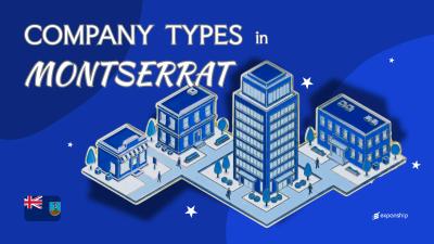 Company Types in Montserrat | All Entity Structures Covered