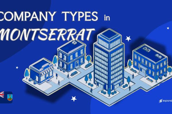 Company Types in Montserrat | All Entity Structures Covered