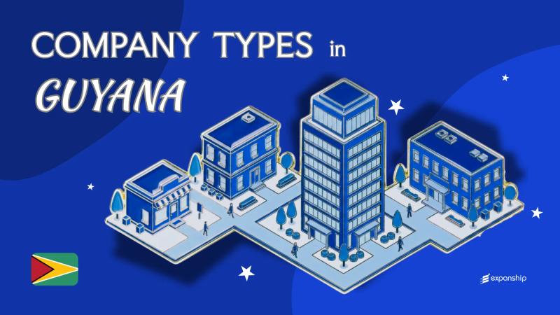 Types of Companies in Guyana | 9 Entity Structures Explained