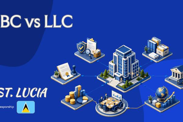 IBC vs LLC in St. Lucia: Choosing the Right Company Type