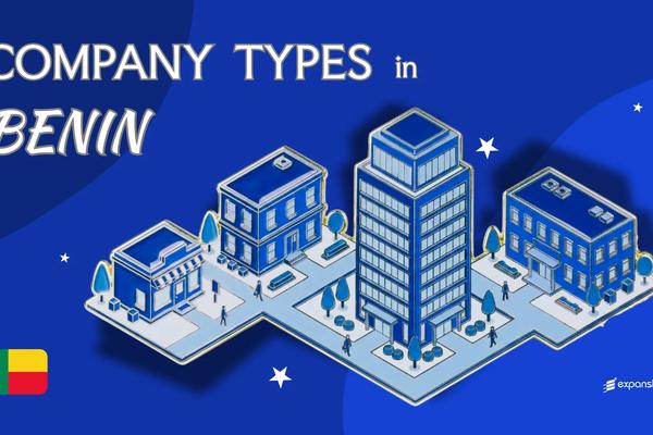 Company Types in Benin | 8 Business Structures Explained
