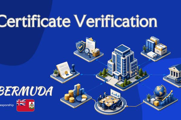 Bermuda Certificate Verification: Confirm Authenticity