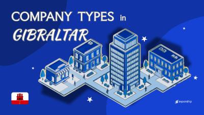 Types of Companies in Gibraltar | 8 Entities Explained