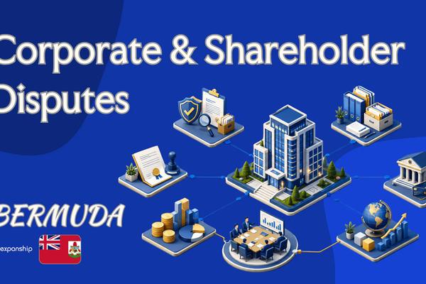 Bermuda Corporate & Shareholder Disputes: Owner's Guide