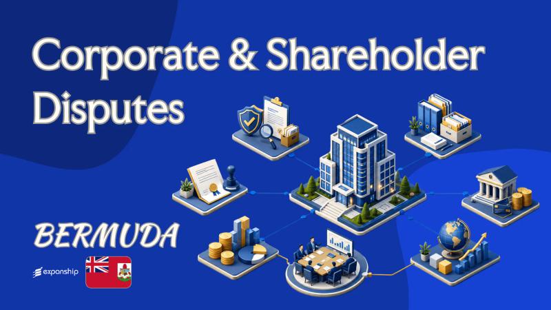 Bermuda Corporate & Shareholder Disputes: Owner's Guide