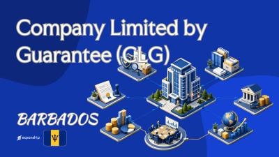 Company Limited by Guarantee (CLG) in Barbados Basics