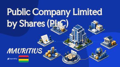 Mauritius Public Company Limited by Shares (PLC) Basics