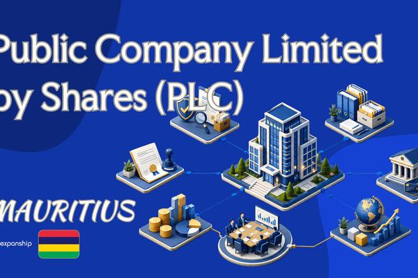 Mauritius Public Company Limited by Shares (PLC) Basics