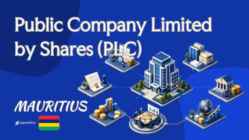 Mauritius Public Company Limited by Shares (PLC) Basics