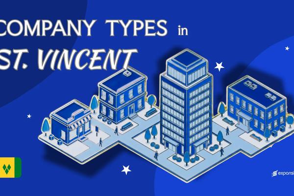 Types of Companies in St. Vincent | 7 Entities Explained