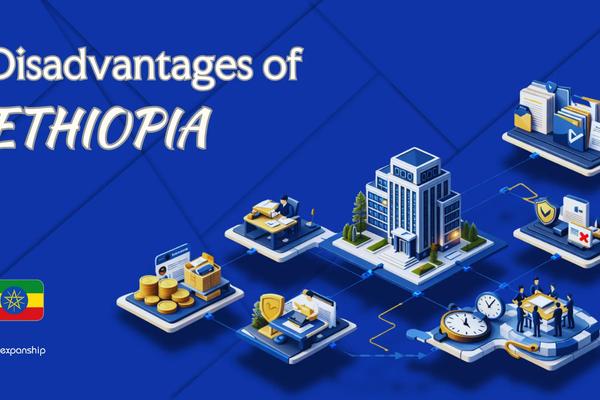 Disadvantages of Incorporating in Ethiopia | 8 Drawbacks