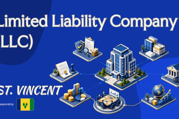 St. Vincent Limited Liability Company: Features and Tax