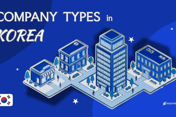 Types of Companies in South Korea | Full Entity Breakdown