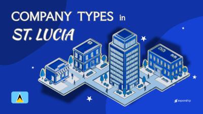 Types of Companies in St. Lucia | Full Entity Breakdown