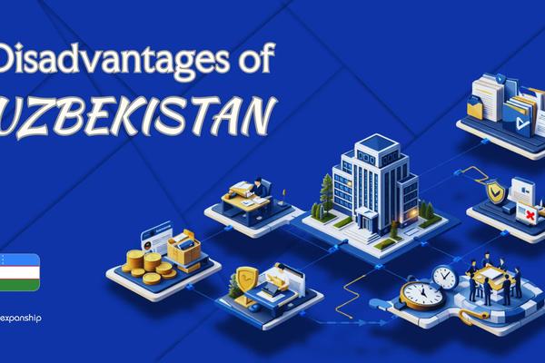 Disadvantages of Incorporating in Uzbekistan | 9 Drawbacks