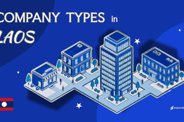 Types of Companies in Laos | 10 Entity Structures Compared
