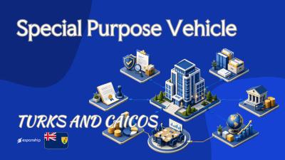 Turks and Caicos SPV for Cross-Border Deals: Overview