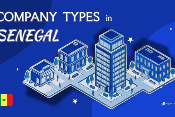 Company Types in Senegal | 9 OHADA Structures Compared
