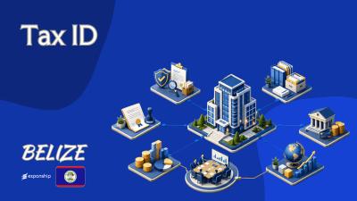 Belize Tax ID Explained: Format, Uses and Process