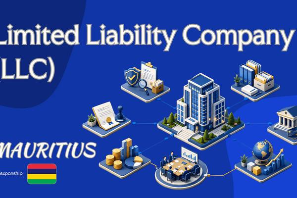 Mauritius Limited Liability Company (LLC) Explained