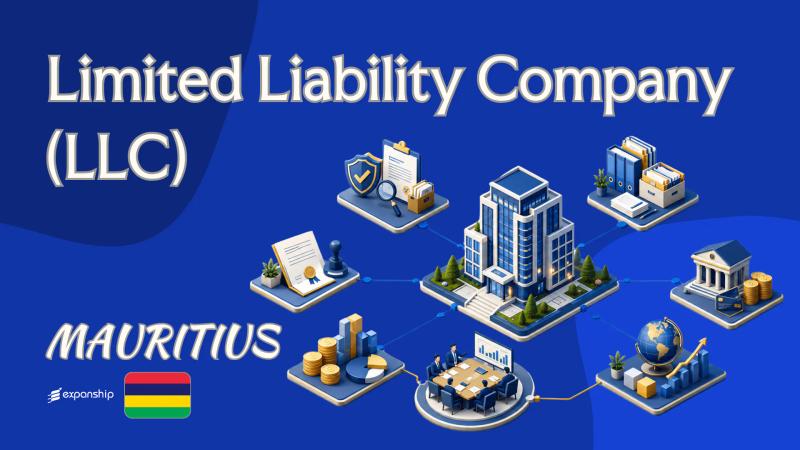 Mauritius Limited Liability Company (LLC) Explained