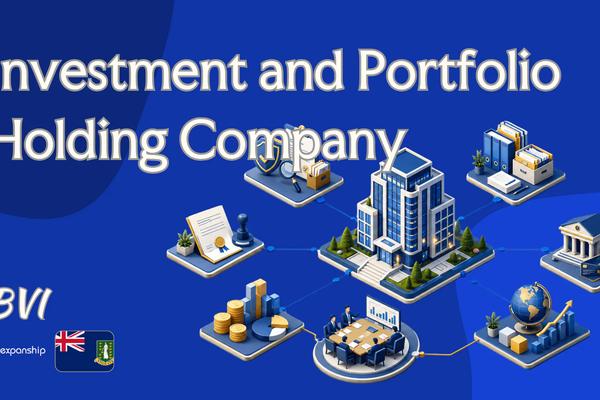 BVI Portfolio Holding Company: A Guide for Foreign Owners