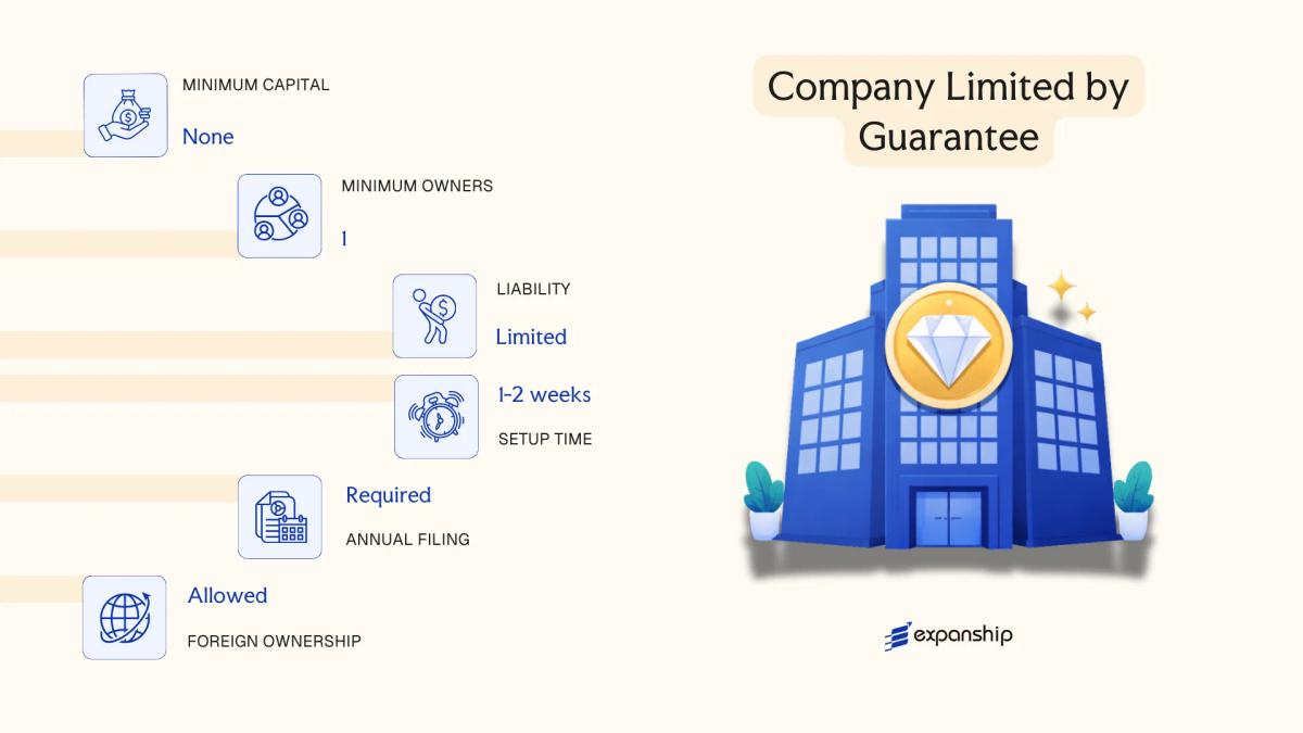 Company Limited by Guarantee in Seychelles - key features and requirements