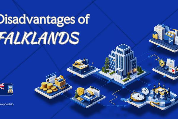 Disadvantages of Incorporating in Falkland Islands Explained
