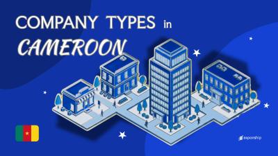 Types of Companies in Cameroon | SA, SARL & More Explained