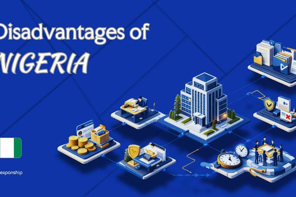 Drawbacks of Setting Up a Company in Nigeria | Explained