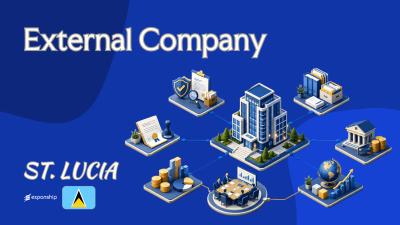 St. Lucia External Company vs. Local Subsidiary Compared