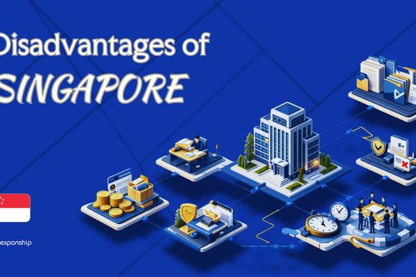 Drawbacks of Setting Up a Company in Singapore | Explained