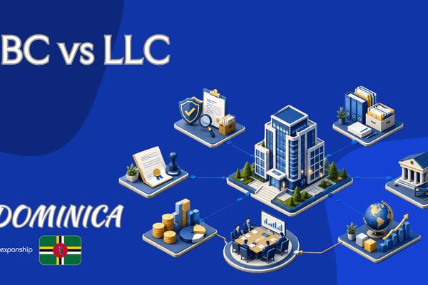 IBC vs LLC in Dominica: How to Choose the Right Vehicle