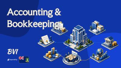 Bookkeeping in the British Virgin Islands | Key Rules