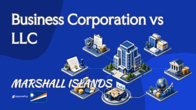 Business Corporation vs LLC: Marshall Islands Vehicles
