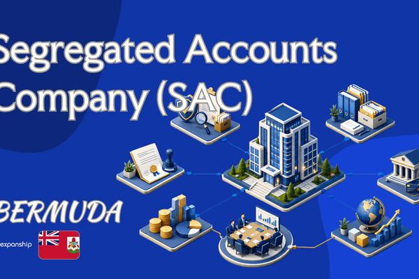 Bermuda Segregated Accounts Company (SAC): How It Works