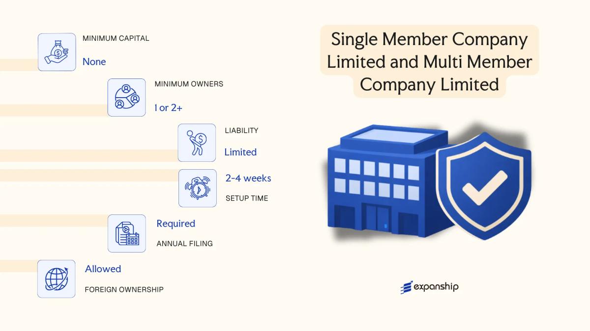 Single Member Company Limited and Multi Member Company Limited in Laos - key features and requirements