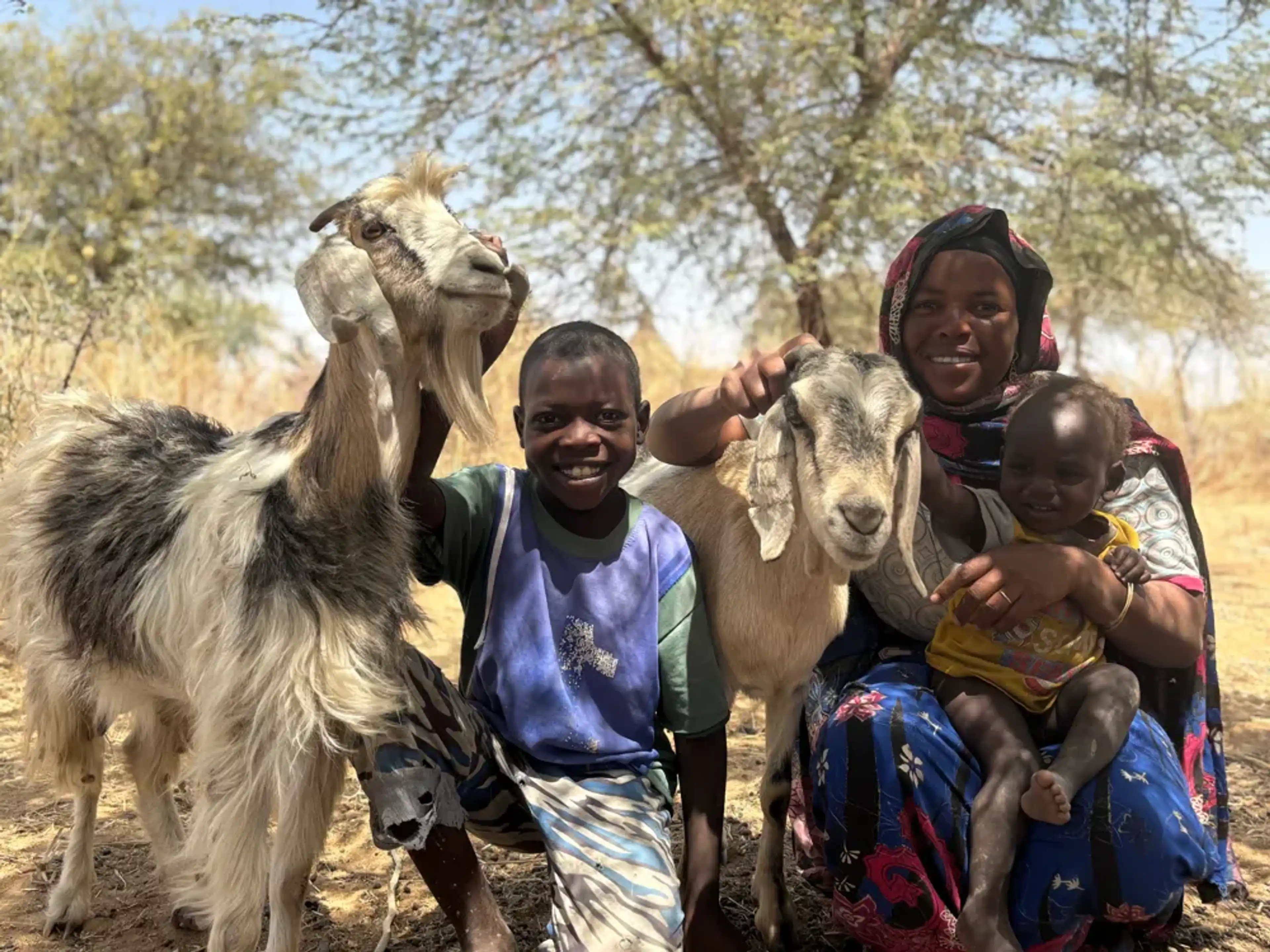 Familj med getter i Sudan