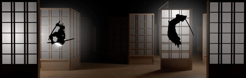 Two samurai leaping between lit shoji doors.