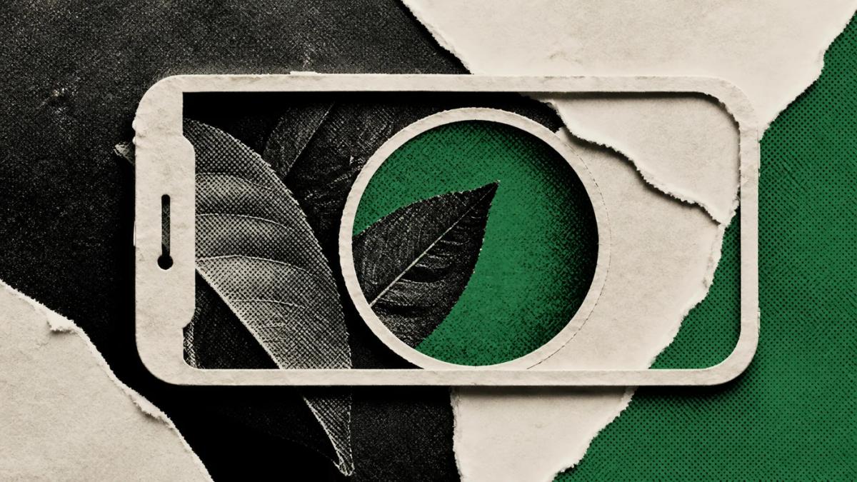 Paper phone frame containing a leaf and green lens as a metaphor for local visual processing.