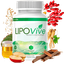 icon of LipoVive
