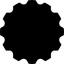 icon of ISO100