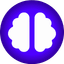 icon of BrainFlow AI